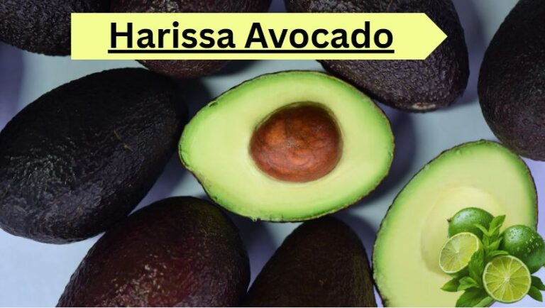 Harissa Avocado Bowl Cava